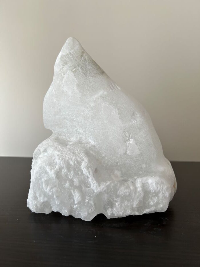 Sculpture of a fin in white alabaster