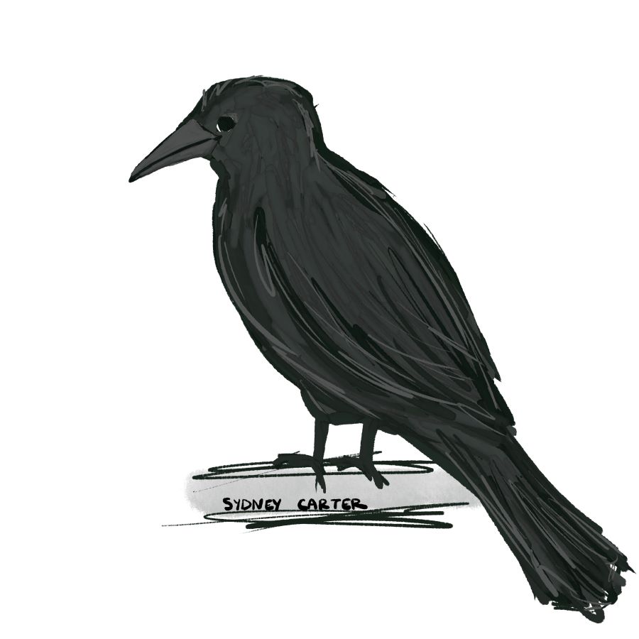 Doodles - Crow